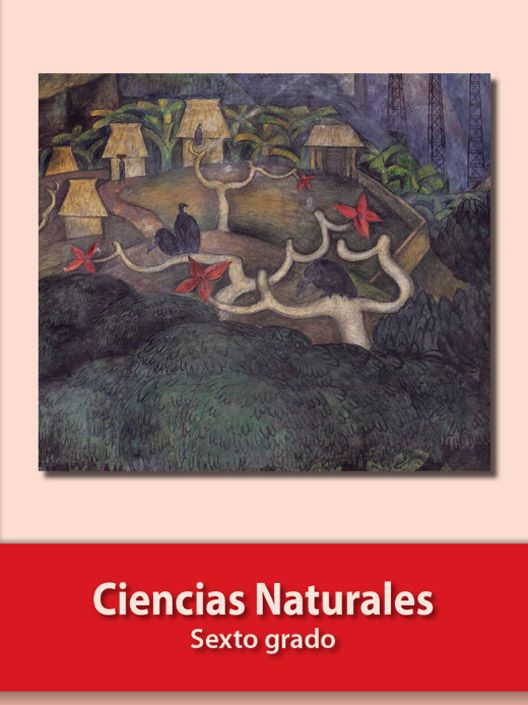 Libros de Primaria de la SEP