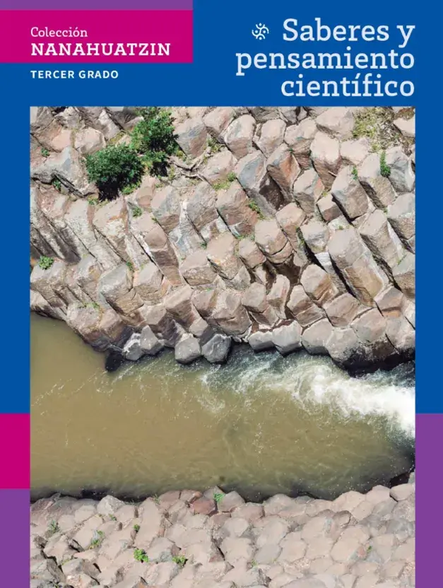Libros de Secundaria de la SEP