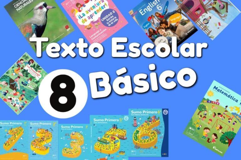 Libros Octavo Básico de MinEduc