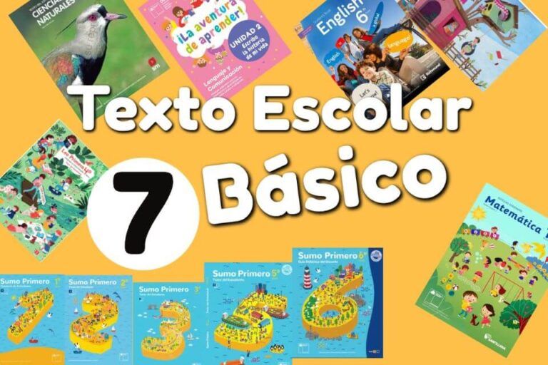 Libros Séptimo Básico de MinEduc