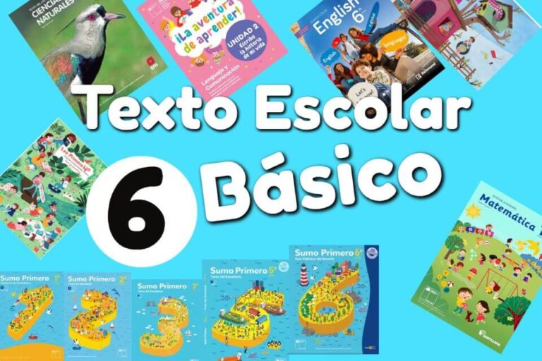 Libros Sexto Básico de MinEduc